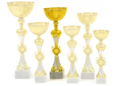 4920 B - Standard Cup